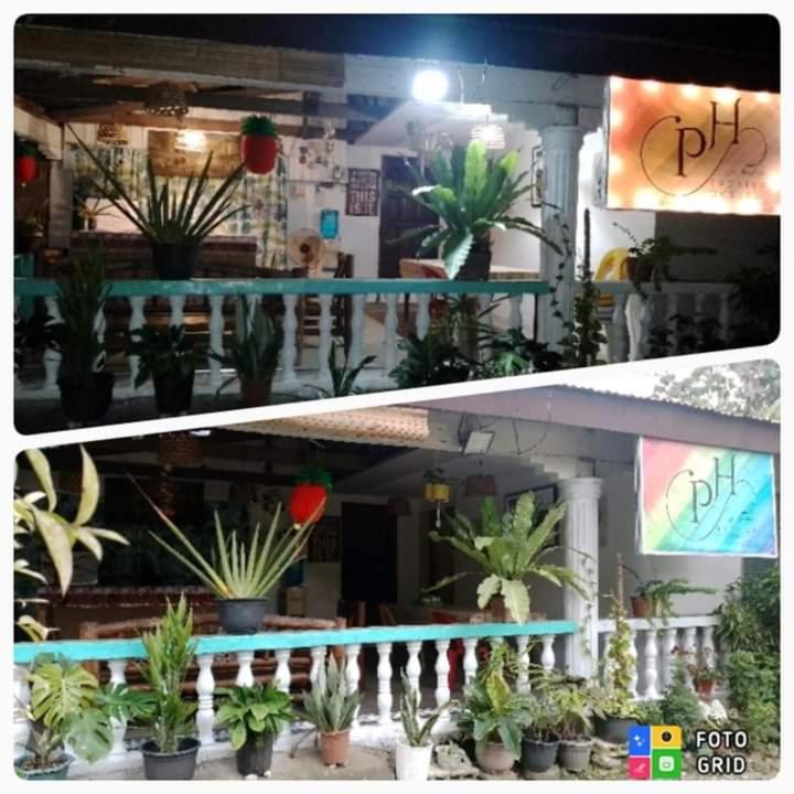 Paraiso Hostel Moalboal Zewnętrze zdjęcie